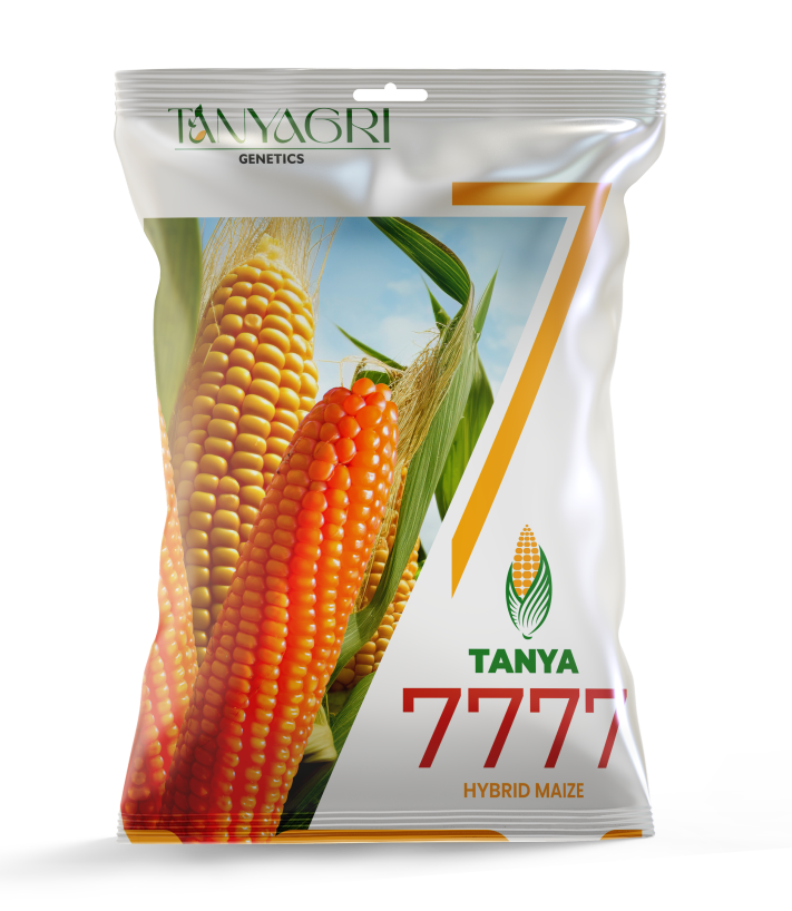 TANYA-7777